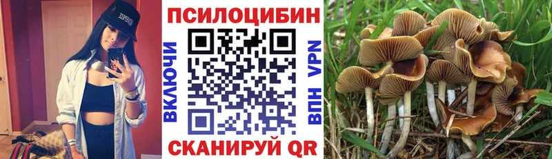 дарнет шоп  blacksprut как зайти  Псилоцибиновые грибы мухоморы  сайты даркнета как зайти  Ветлуга 